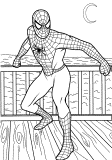 spiderman tegninger